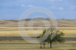 Autumn landscape, steppe with mountains. prairie, veld, veldt. a