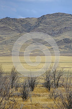 Autumn landscape, steppe with mountains. prairie, veld, veldt. a