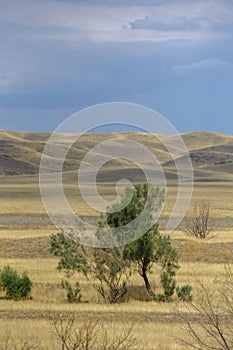 Autumn landscape, steppe with mountains. prairie, veld, veldt. a