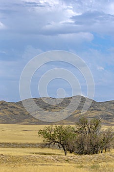 Autumn landscape, steppe with mountains. prairie, veld, veldt. a