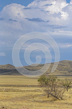 Autumn landscape, steppe with mountains. prairie, veld, veldt. a