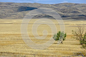 Autumn landscape, steppe with mountains. prairie, veld, veldt. a