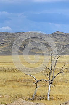 Autumn landscape, steppe with mountains. prairie, veld, veldt. a