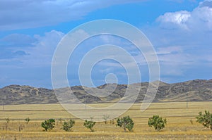 Autumn landscape, steppe with mountains. prairie, veld, veldt. a