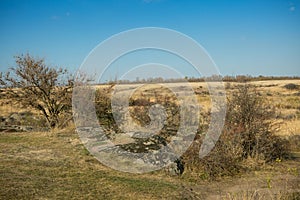 Autumn landscape of the steppe. View of dry bushes, small trees, sand with an orange-red hue, small stones, yellow-green trees. In