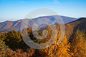 Autumn landscape on sunny day