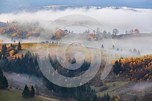 Autumn landscape in the sunny day. Thick fog covered the valley. In the beautiful forest of the trees with the orange, yellow