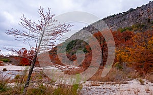 Autumn landscape. Swamp cypress and other trees with yellow foliage along the riverbank. Texas, Garner State Park, USA