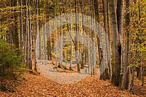 Autumn landscape taken in Beskidy