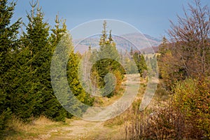 Autumn landscape taken in Beskidy