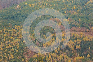 Autumn landscape taken in Beskidy