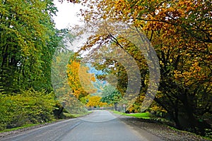 Autumn landscape of Talysh mountains, Azerbaijan