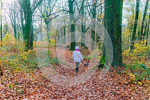 Autumn landscape with trail between wild vegetation with woman with her dog