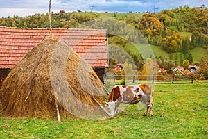 Autumn landscape in Transylvania