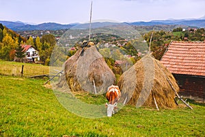 Autumn landscape in Transylvania