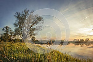 Autumn landscape of a tree on the river bank at sunset. Bright colorful landscape of early autumn