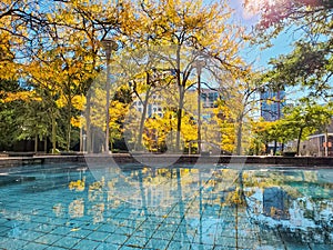 Beautiful autumn landscape of trees around the pool fountan in the park of Vancouver city BC photo