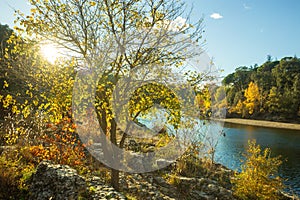 Autumn landscape of trees with colorful fall foliage against the light. Photography taken near Gardon river in France