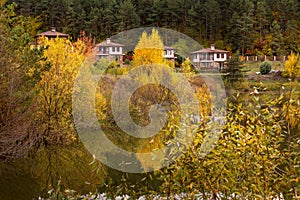 Autumn landscape with trees and houses, Bulgaria