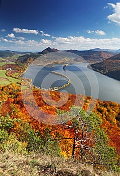 Autumn landscape with trees and lawn in the foreground. The autumn forest.