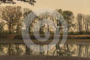 autumn landscape - trees are reflected in the lake