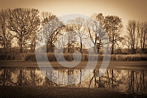 autumn landscape - trees are reflected in the lake