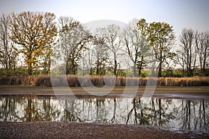 autumn landscape - trees are reflected in the lake