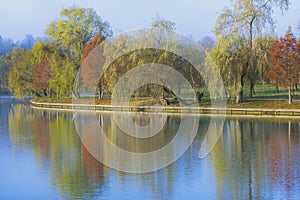 Autumn landscape with trees reflection on lake