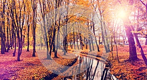 Autumn landscape with trees and river. wonderful nature background