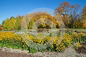 Autumn landscape in Tsaritsyno Park. Moscow, Russia