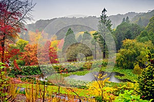 Autumn landscape under the rain