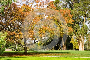 Autumn landscape, Vasona Lake County Park, San Francisco bay area, Los Gatos, California