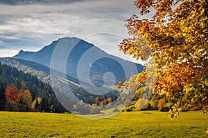 Jesenná krajina s vrchom Veľký Choč na severnom Slovensku