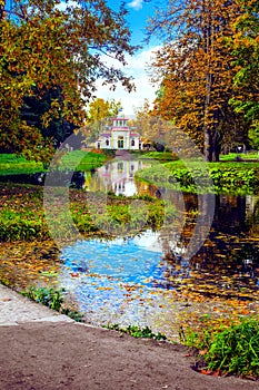 Autumn landscape with view of a Chinese gazebo Creaking arbour