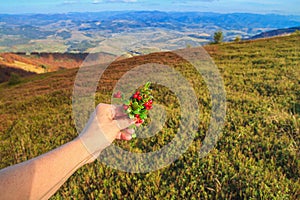Autumn landscape - a view of a lingonberry sprig in the hand of a tourist woman