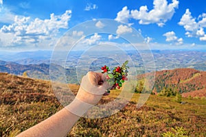 Autumn landscape - a view of a lingonberry sprig in the hand of a tourist woman