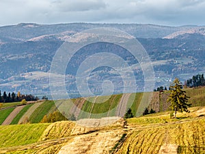 Autumn landscape with a view of the mountains