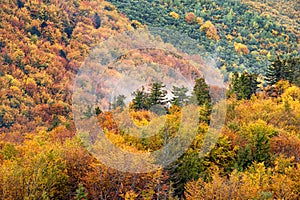 Autumn landscape - view of mountains covered with forest and morning fog