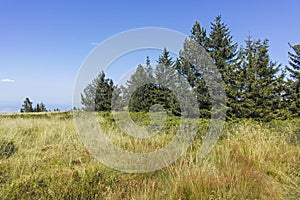 Autumn landscape of Vitosha Mountain, Bulgaria