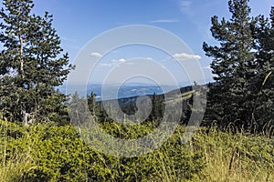 Autumn landscape of Vitosha Mountain, Bulgaria