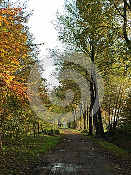 Autumn landscape, walk throught the nature