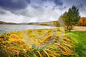 Autumn landscape of windy weather and cloudy sky on lake.