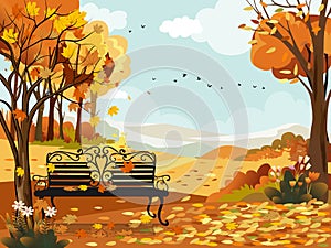 Autumn landscape wonderland forest with bench under the tree,Mid autumn natural in orange foliage,Fall season with beautiful