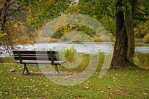 Autumn landscape, wooden bench facing a pond in a park, dull weather