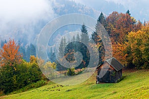 Autumn landscape with a wooden hut