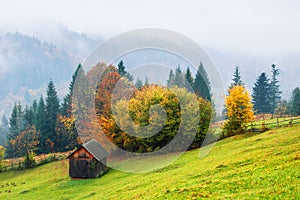 Autumn landscape with a wooden hut