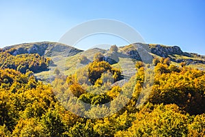 Autumn landscape of the woods and hills  in Italy