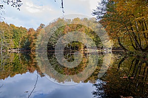 Autumn landscape in YedigÃ¶ller National park, Bolu, Turkey photo