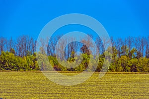 Autumn landscape. Yellow fields and blue sky