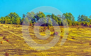 Autumn landscape. Yellow fields and blue sky